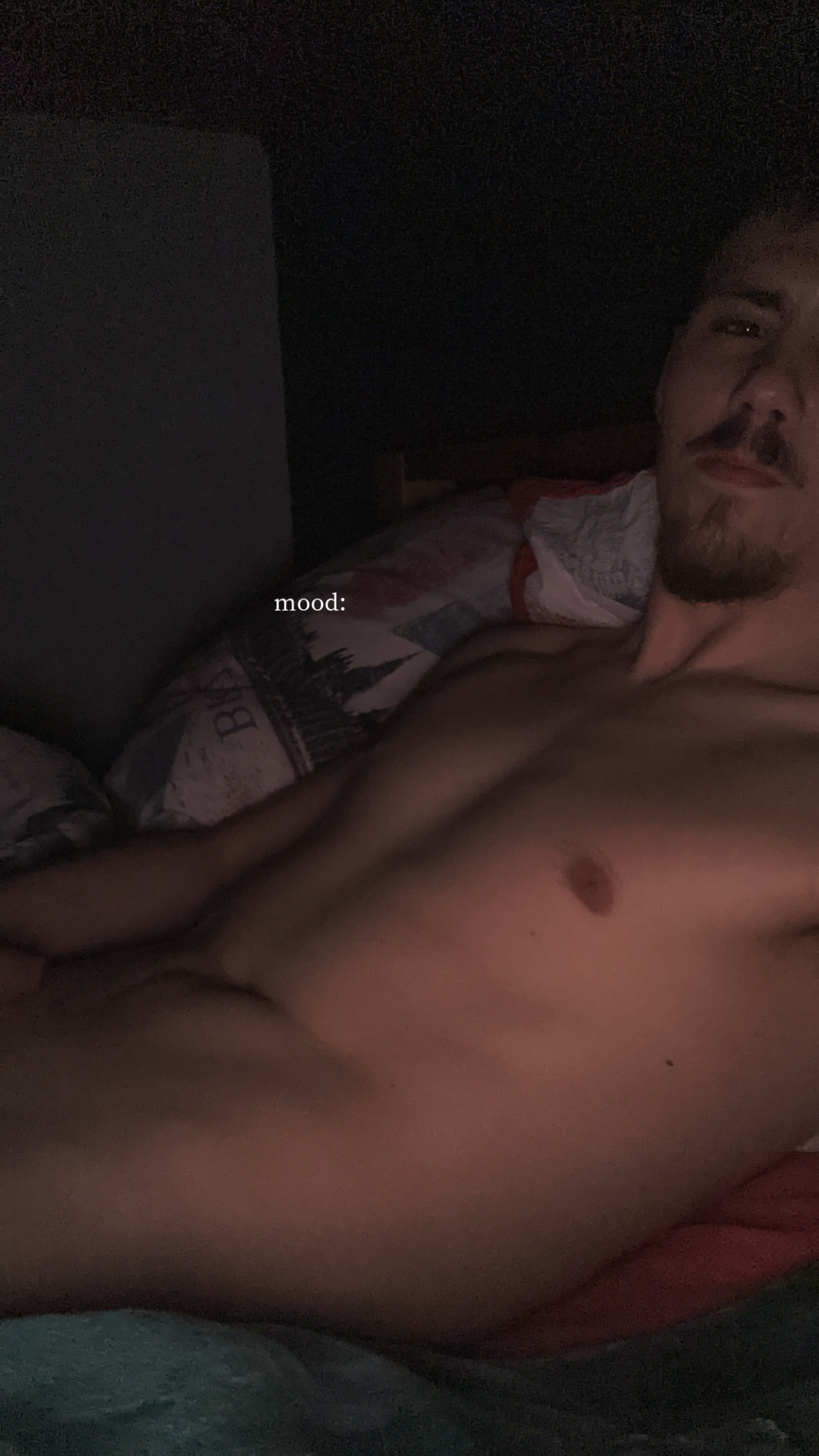 Profil de Bekim, 24 ans, Plan cul à Pluherlin